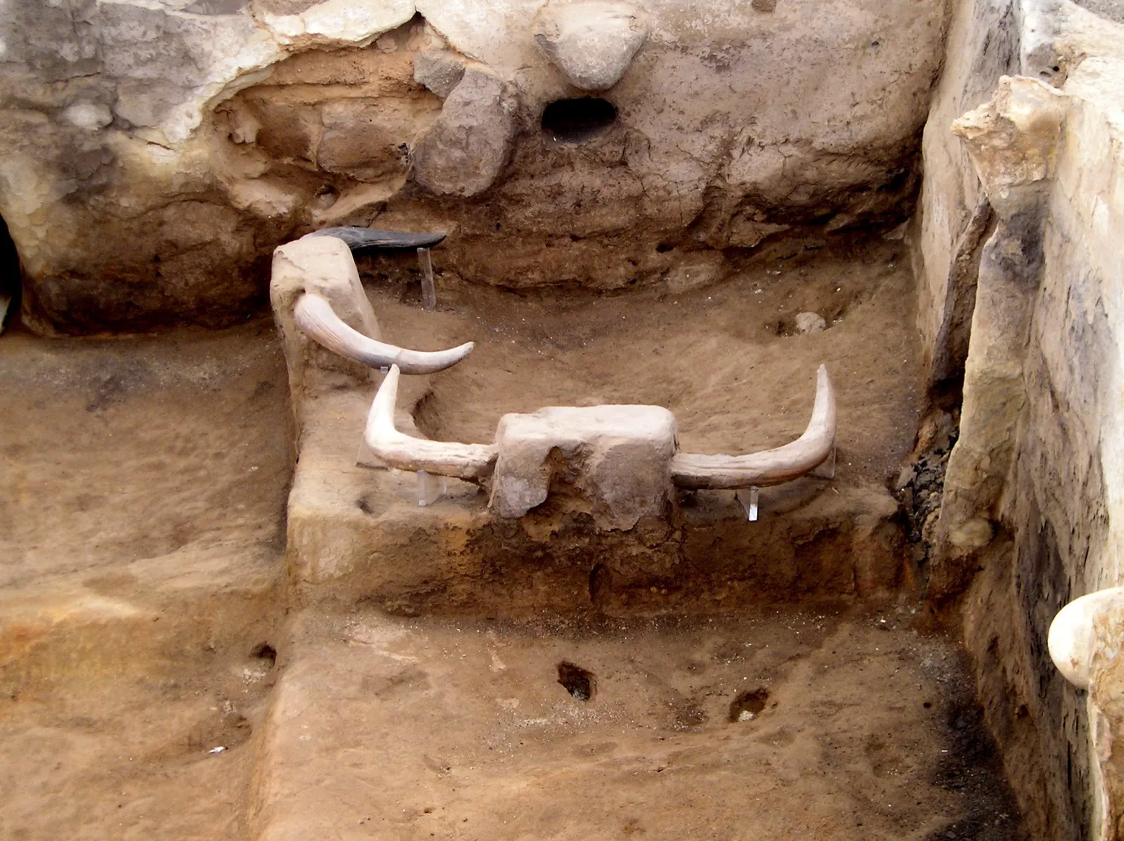 An excavated mud-brick room at Çatalhöyük with a raised platform, a bench set with the horns of wild cattle, and plastered walls