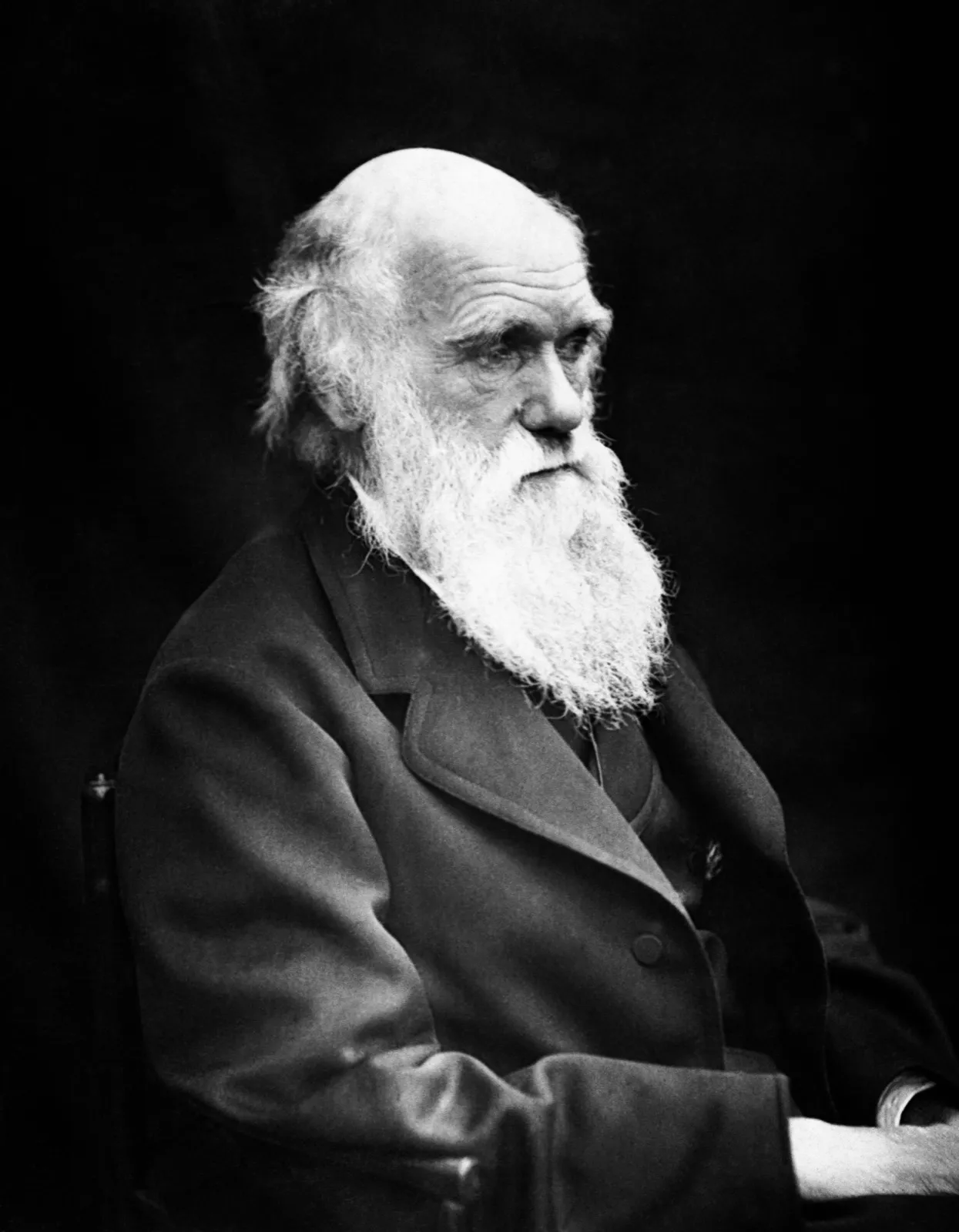 A black-and-white photograph of an elderly man with a long white beard, seated in a dark coat and looking to one side