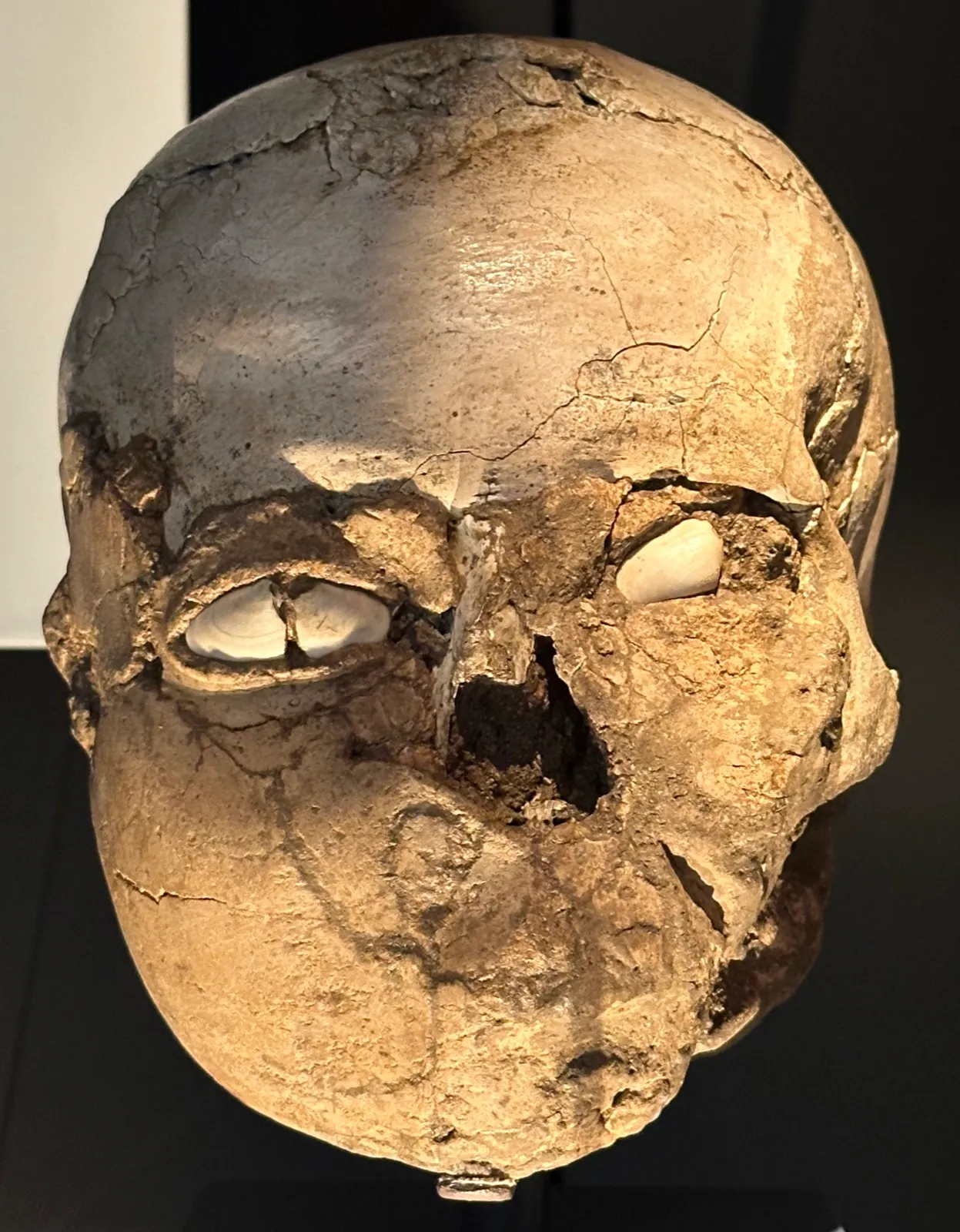 A plastered human skull from Jericho with a sculpted face, cracked plaster modelling the cheeks and nose, and white shells set into the eye sockets