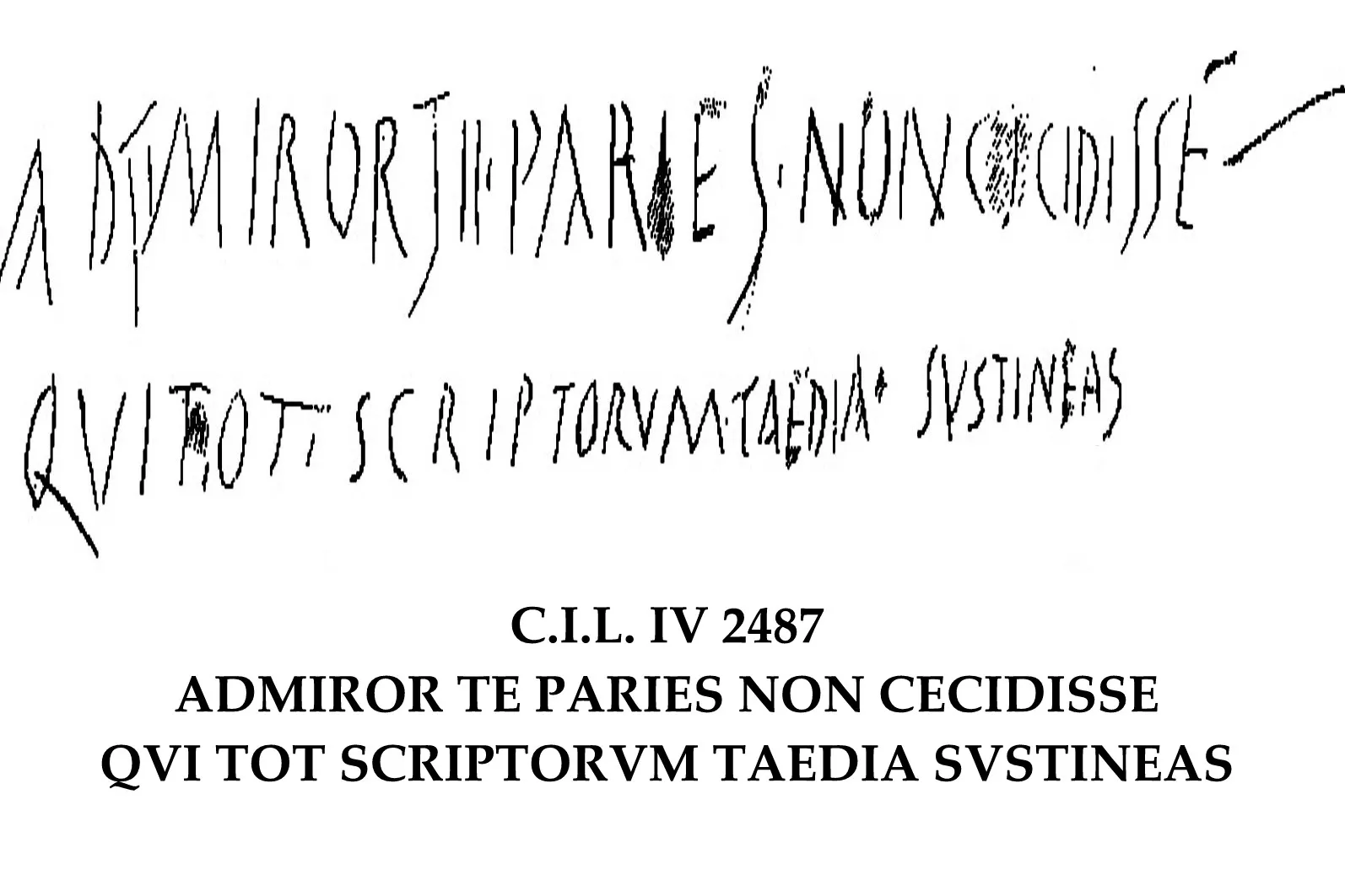 The Latin text of a Pompeian graffito, transcribed: Admiror te paries non cecidisse qui tot scriptorum taedia sustineas