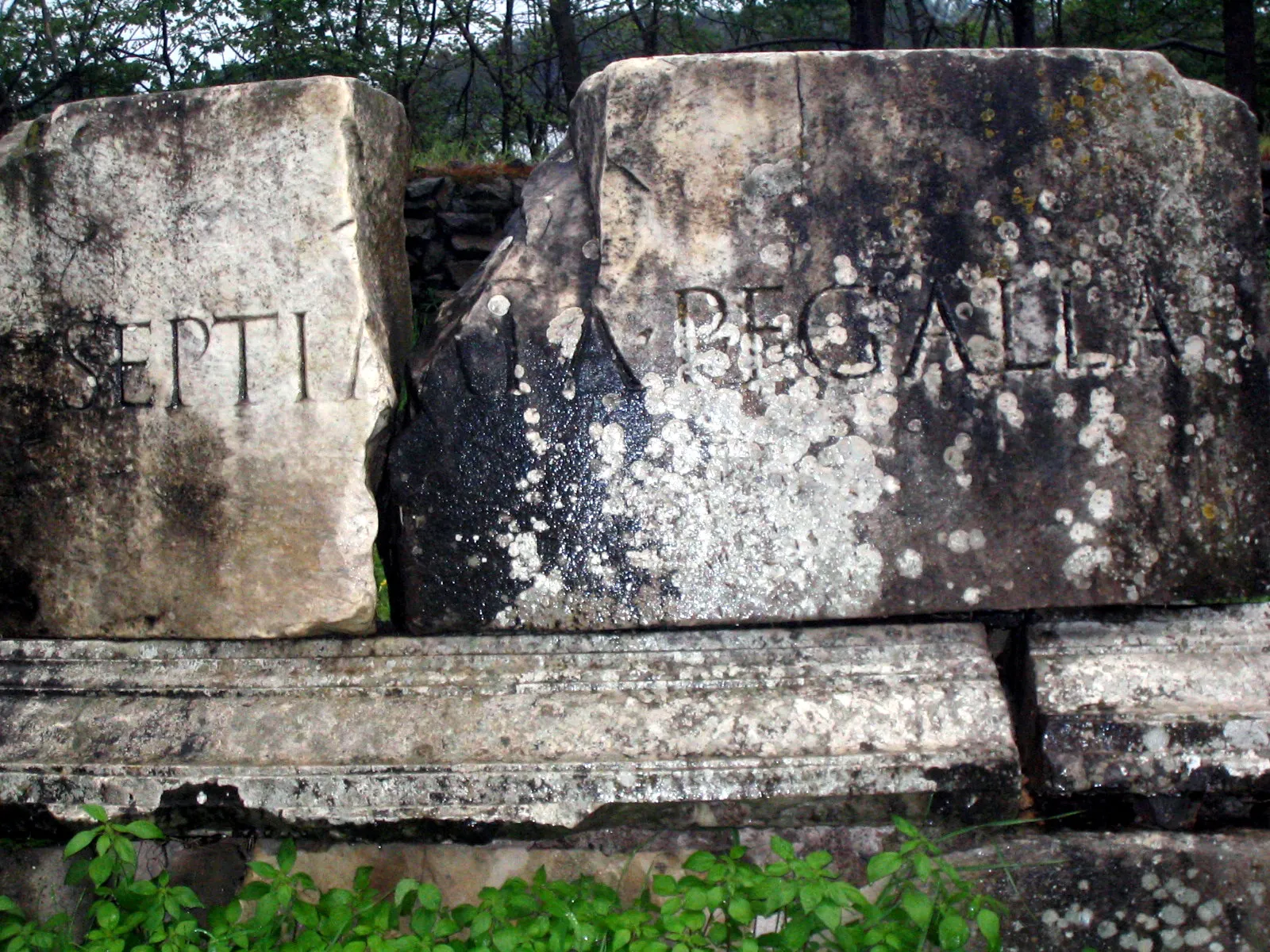 A broken Roman tomb inscription on the Via Appia Antica, a single name carved in lichen-covered stone